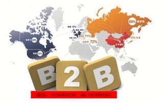 駐馬店新聞網(wǎng)代開(kāi)會(huì)員 長(zhǎng)春網(wǎng)絡(luò)公司